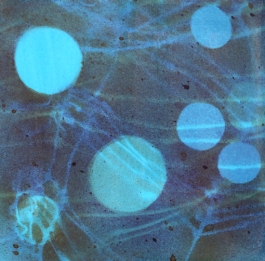 amaretto association